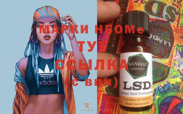 PSILOCYBIN Дмитриев