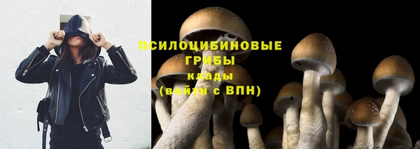 PSILOCYBIN Дмитриев