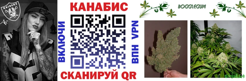 как найти   Бикин  Конопля THC 21% 